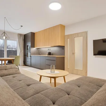Apartment Krusnohorske Strane Loucna pod Klinovcem