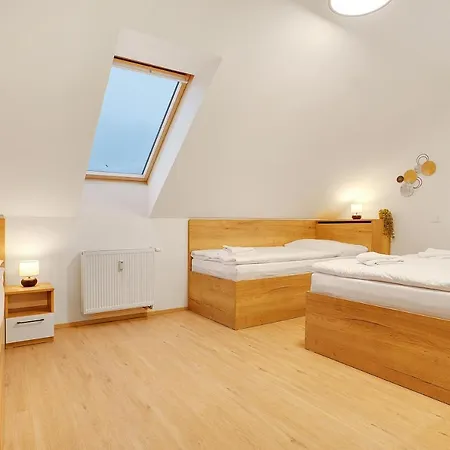 Krusnohorske Strane Apartment *