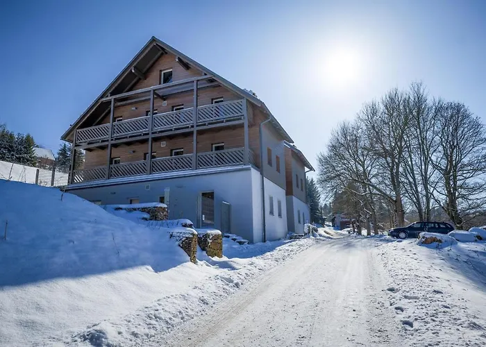 Krusnohorske Strane Apartament *
